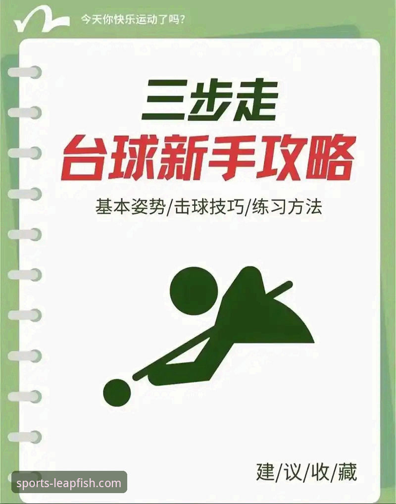 揭秘乐鱼体育平台：从入门到精通的全方位使用指南