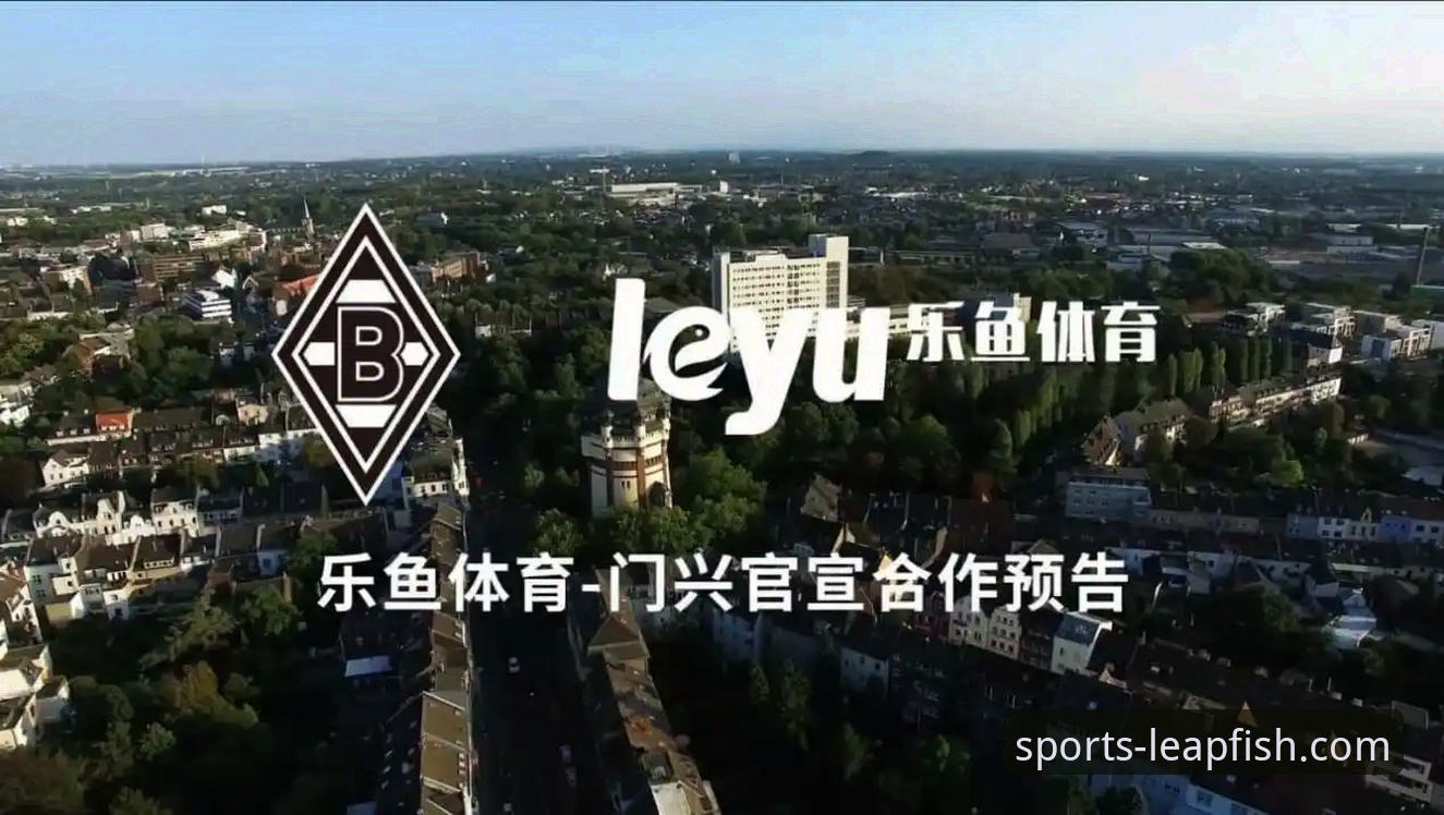 乐鱼体育平台实战使用教程详解